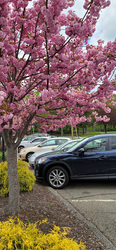 Supermarket «Highland Park Market», reviews and photos, 1721 Boston Turnpike, Coventry, CT 06238, USA