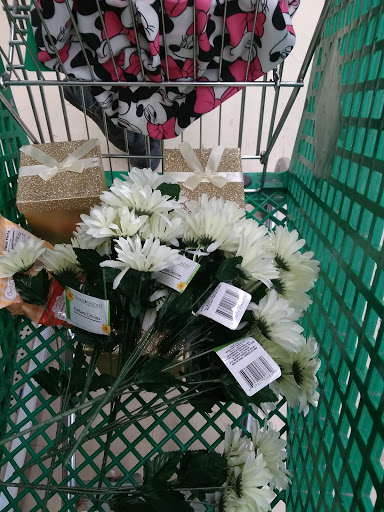 Dollar Store «Dollar Tree», reviews and photos, 2821 E Euclid Ave, Des Moines, IA 50317, USA