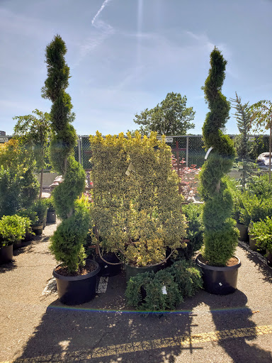 Florist «Metropolitan Plant & Flower Exchange Inc.», reviews and photos, 2125 Fletcher Ave, Fort Lee, NJ 07024, USA