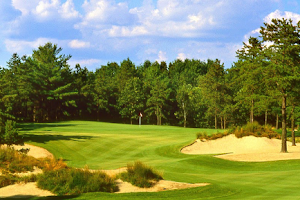The International Golf Club image