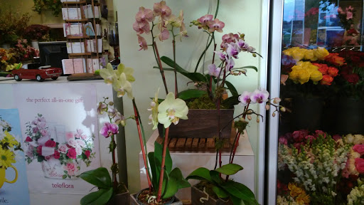 Florist «Marco Polo Florist», reviews and photos, 17390 Preston Rd, Dallas, TX 75252, USA