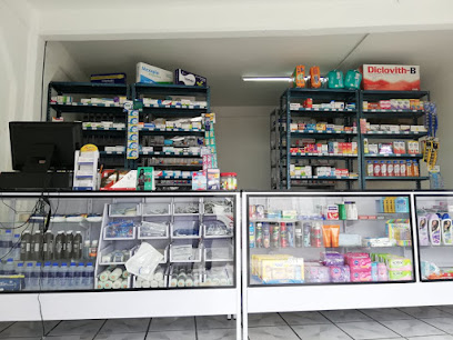 Farmacia San Miguel, , Teolocholco