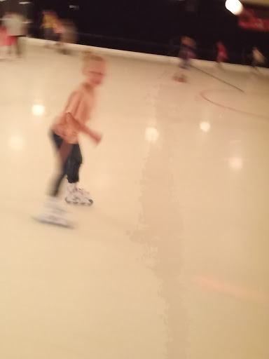 Roller Skating Rink «Skate City Littleton», reviews and photos