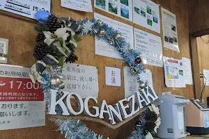 Koganezaki Dive Center image