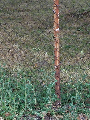 Park «Halloran Park», reviews and photos, 3550 W 117th St, Cleveland, OH 44111, USA