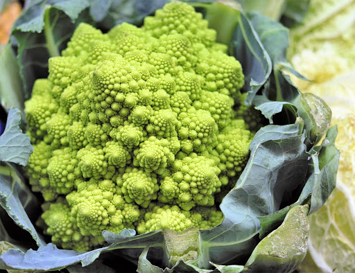 Organic Food Store «Berkeley Natural Grocery Company», reviews and photos, 1336 Gilman St, Albany, CA 94706, USA