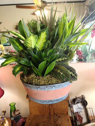 Florist «Shananne Cain Florist Inc», reviews and photos, 123 N Central Ave, Umatilla, FL 32784, USA