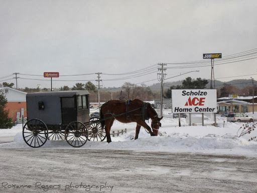Hardware Store «Scholze Ace Home Center», reviews and photos, 133 County Rd A, Black River Falls, WI 54615, USA