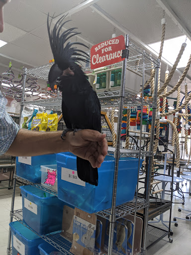 Bird Shop «Arizona Bird Store», reviews and photos, 565 S Dobson Rd, Mesa, AZ 85202, USA