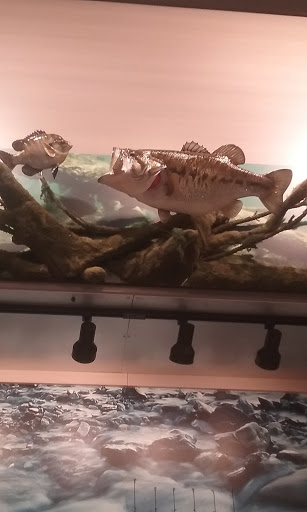 Outdoor Sports Store «Field & Stream», reviews and photos, 3851 Chapel Ln, Hoover, AL 35244, USA