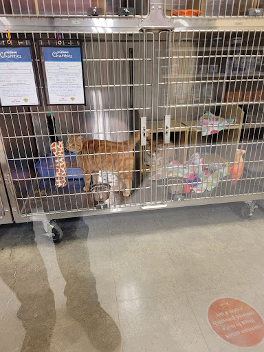 Pet Supply Store «PetSmart», reviews and photos, 1403 E Washington Ave, Union Gap, WA 98903, USA