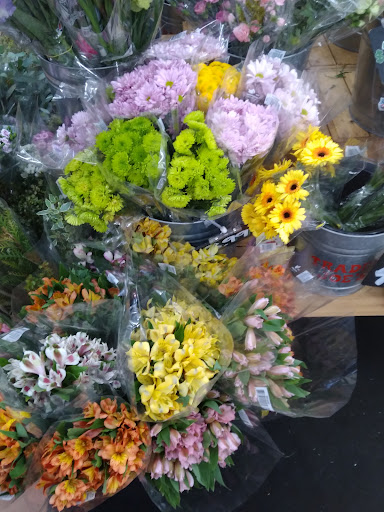 Trader Joes image