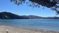 Lakkos Beach'in fotoğrafı düz bir kıyı şeridi ile birlikte