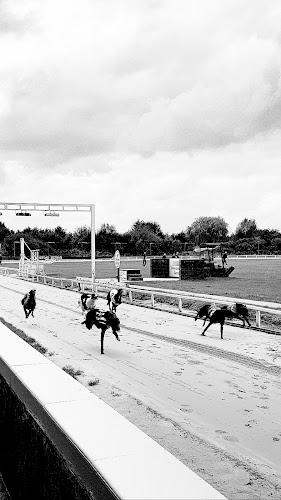 Doncaster Greyhound Stadium - Doncaster