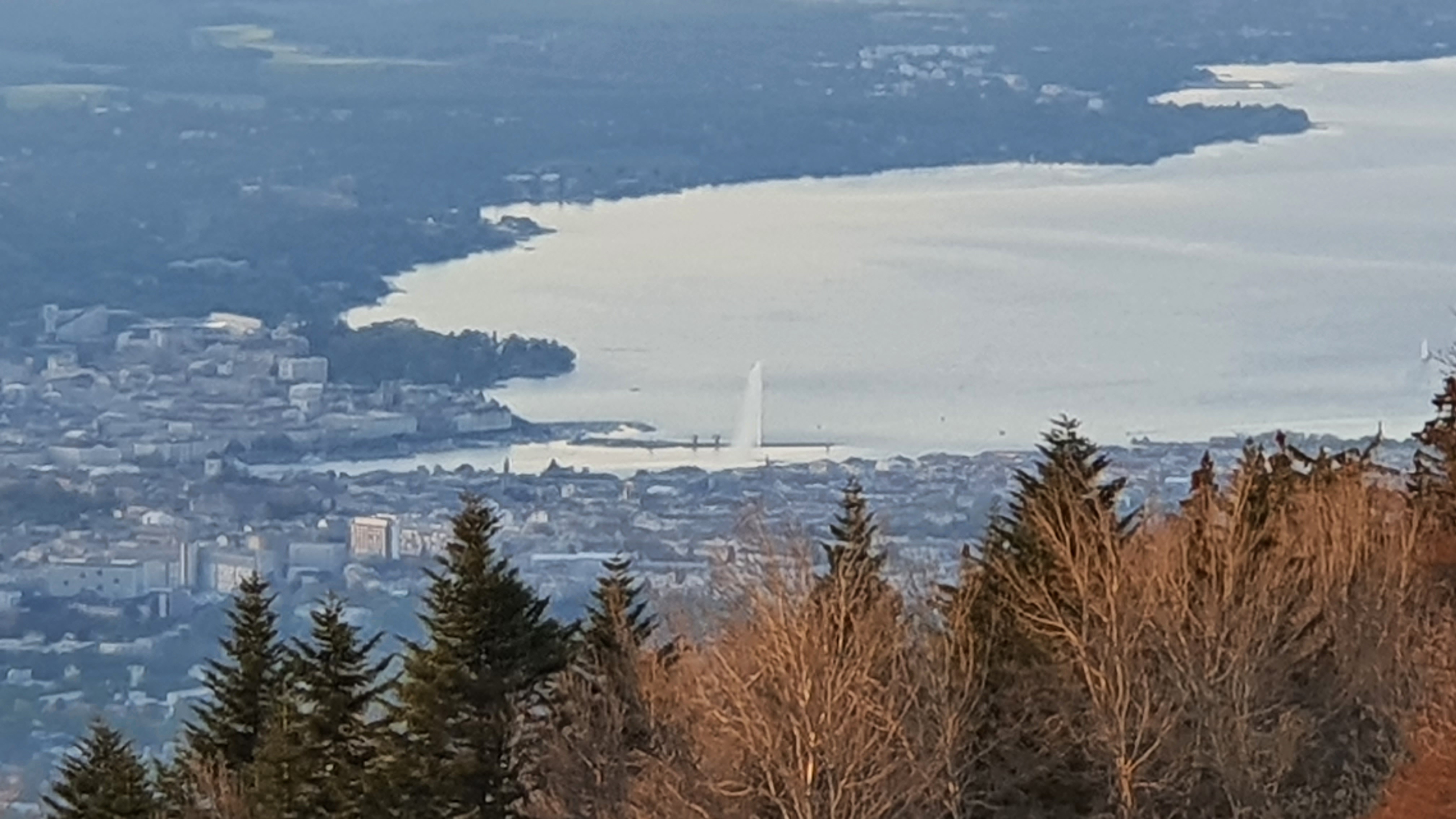 Photo n° 4 de l'avis de Détection.t fait le 08/05/2021 à 21:25