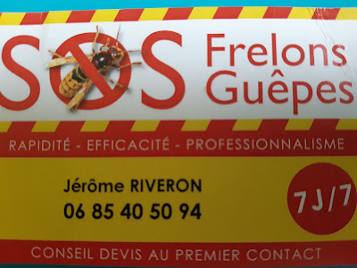 Sos frelons guepes jerome riveron à Orincles