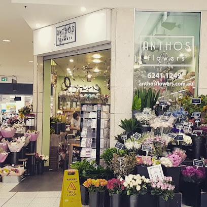 Anthos Flowers Gungahlin