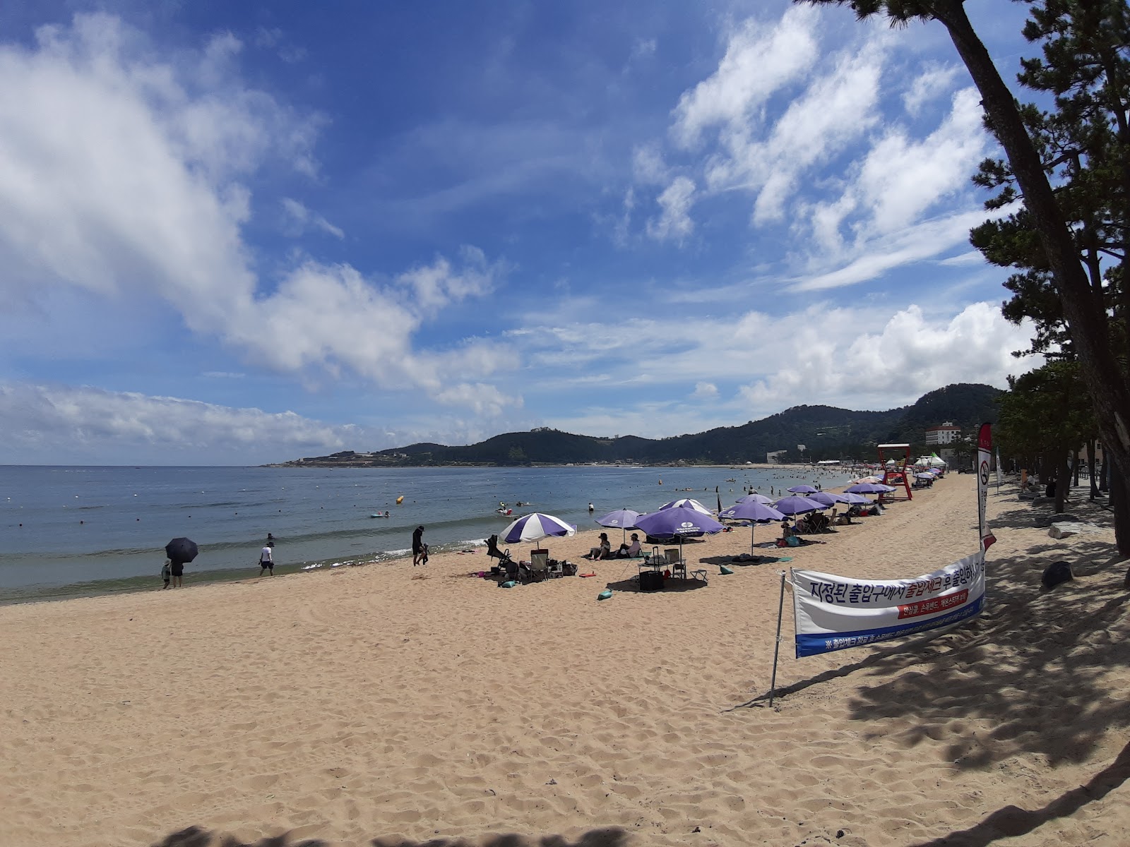 Jinha Beach photo #8