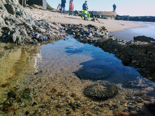 Tourist Attraction «Pirate Tower», reviews and photos, 2713 Victoria Dr, Laguna Beach, CA 92651, USA