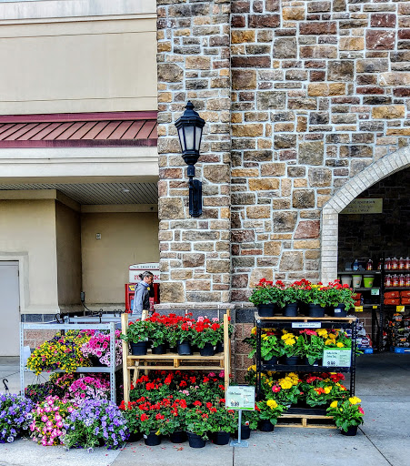Supermarket «Wegmans», reviews and photos, 1 Village Drive, King of Prussia, PA 19406, USA
