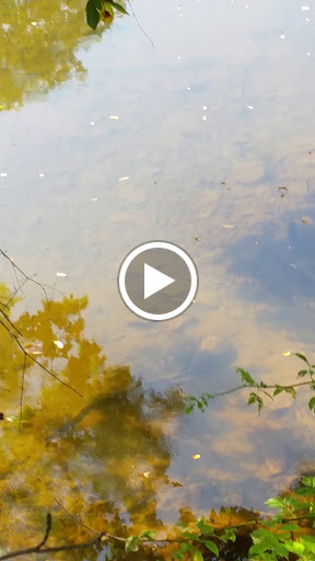 Liquor Store «Liquor Barn», reviews and photos, 1007 Old York Rd, Raritan, NJ 08869, USA