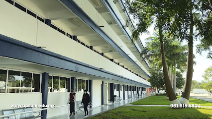 Universidad Privada del Sur de México (UPSUM)
