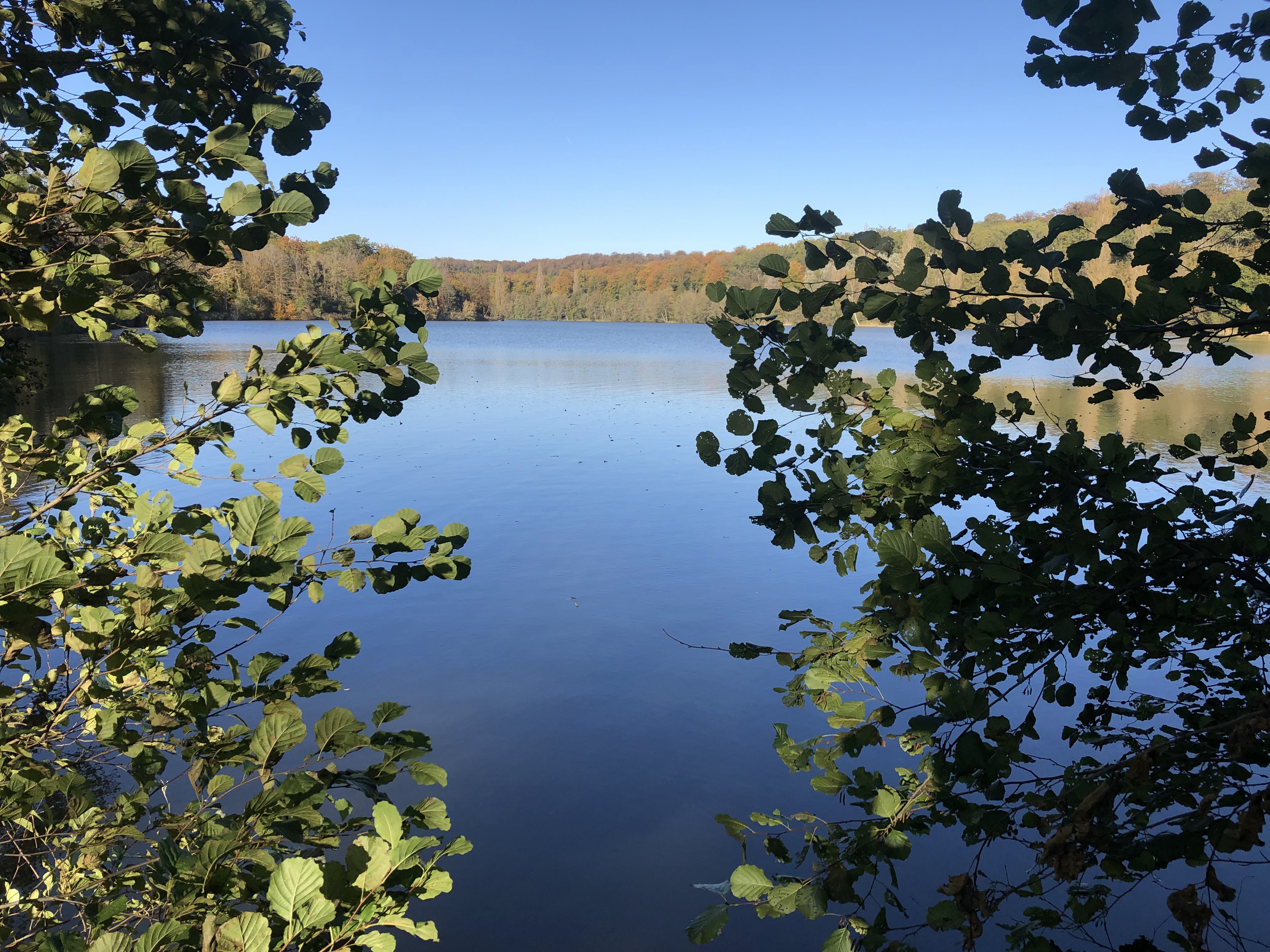 Photo n° 2 de l'avis de Mickael.e fait le 09/10/2019 à 20:50