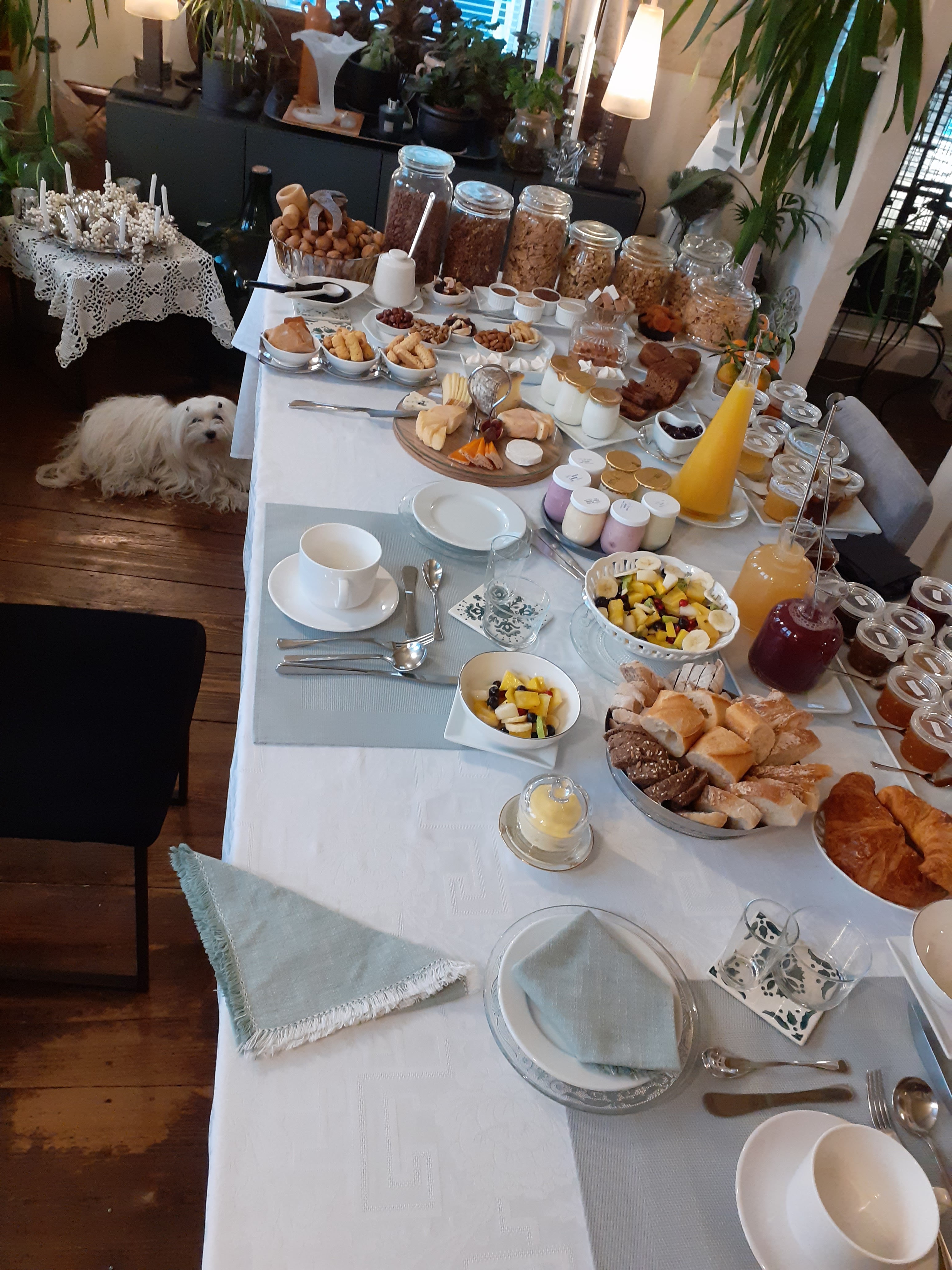 Photo n° 1 de l'avis de Nieves.� fait le 21/11/2019 à 16:49