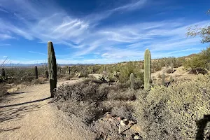 Desert Loop Trail image