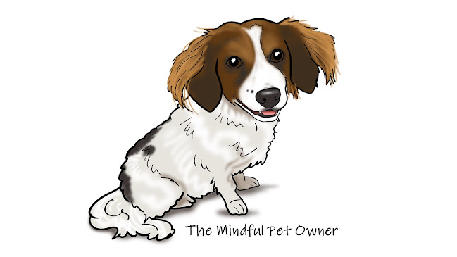 The Mindful Pet Owner