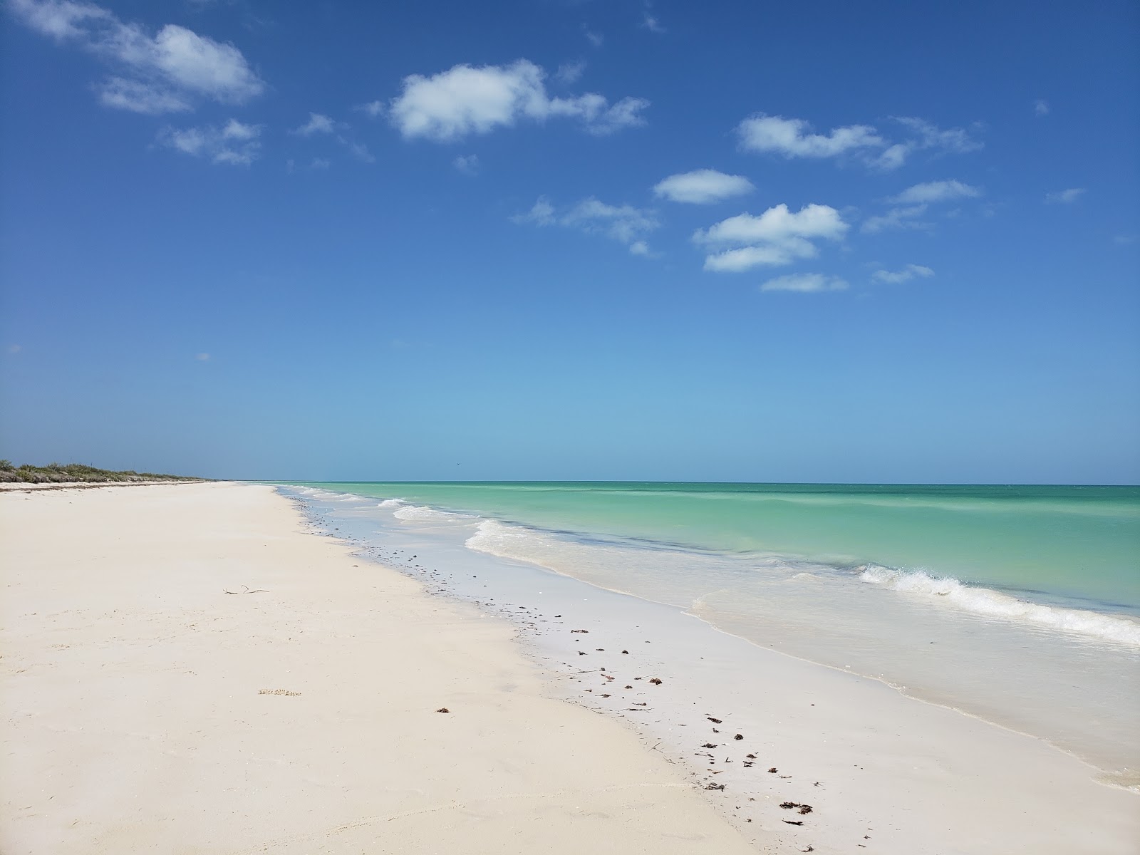 Cancunito beach的照片 带有碧绿色水表面