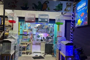 SIDDAKSH PETS AND AQUARIUM image