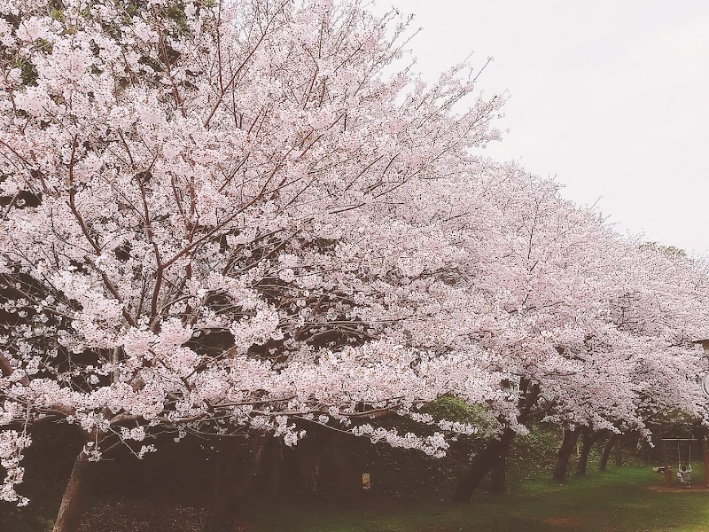 松山公園