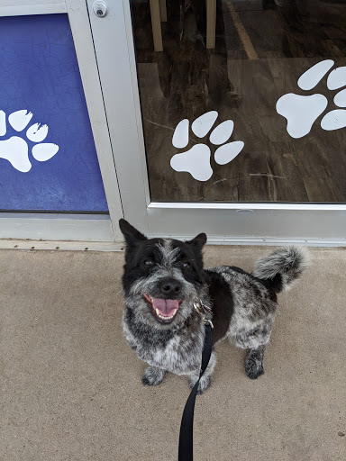 Pet Supply Store «PetSmart», reviews and photos, 8440 S Kipling Pkwy, Littleton, CO 80127, USA