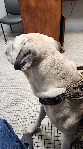 Bristow Veterinary Care Center image