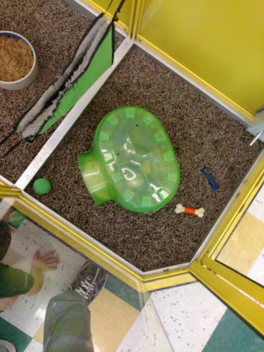 Pet Supply Store «Pet Supplies Plus», reviews and photos, 30450 Lakeshore Blvd, Willowick, OH 44095, USA