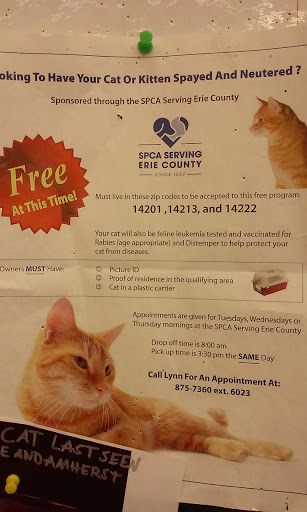 Pet Supply Store «Pet Supplies Plus», reviews and photos, 2155 Delaware Ave, Buffalo, NY 14216, USA