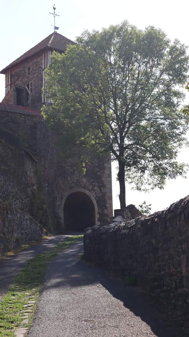 Photo n° 15 de l'avis de Gérard.e fait le 18/08/2023 à 10:07
