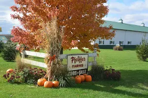 Pfeiffer Farms Fresh Market image