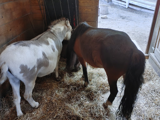 Zoo «Washington Park Zoo», reviews and photos, 115 Lake Shore Dr, Michigan City, IN 46360, USA