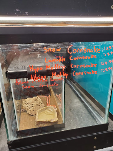 Pet Store «Pet Advantage», reviews and photos, 350 Dorset St # 1, South Burlington, VT 05403, USA