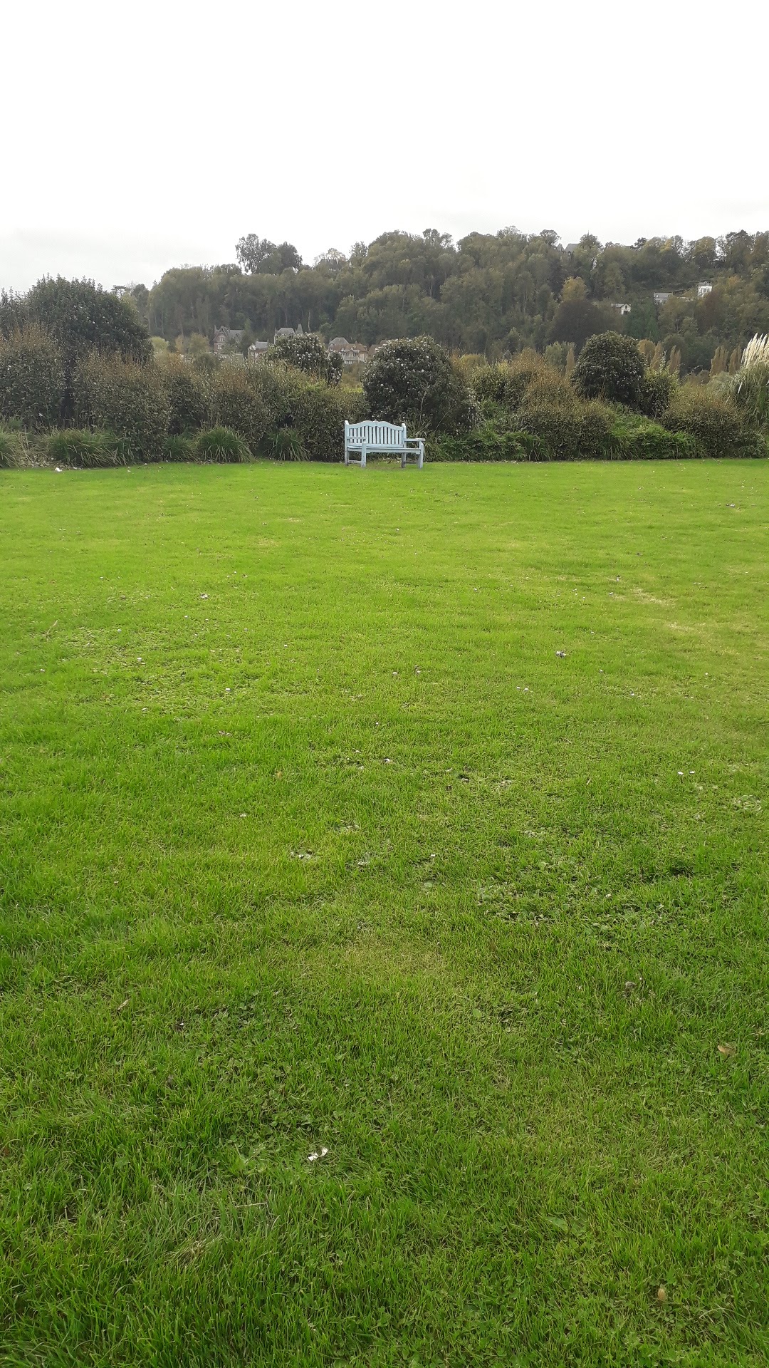 Photo n° 10 de l'avis de nanau. fait le 29/10/2021 à 10:49