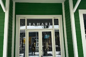 Bahari Bahamas image