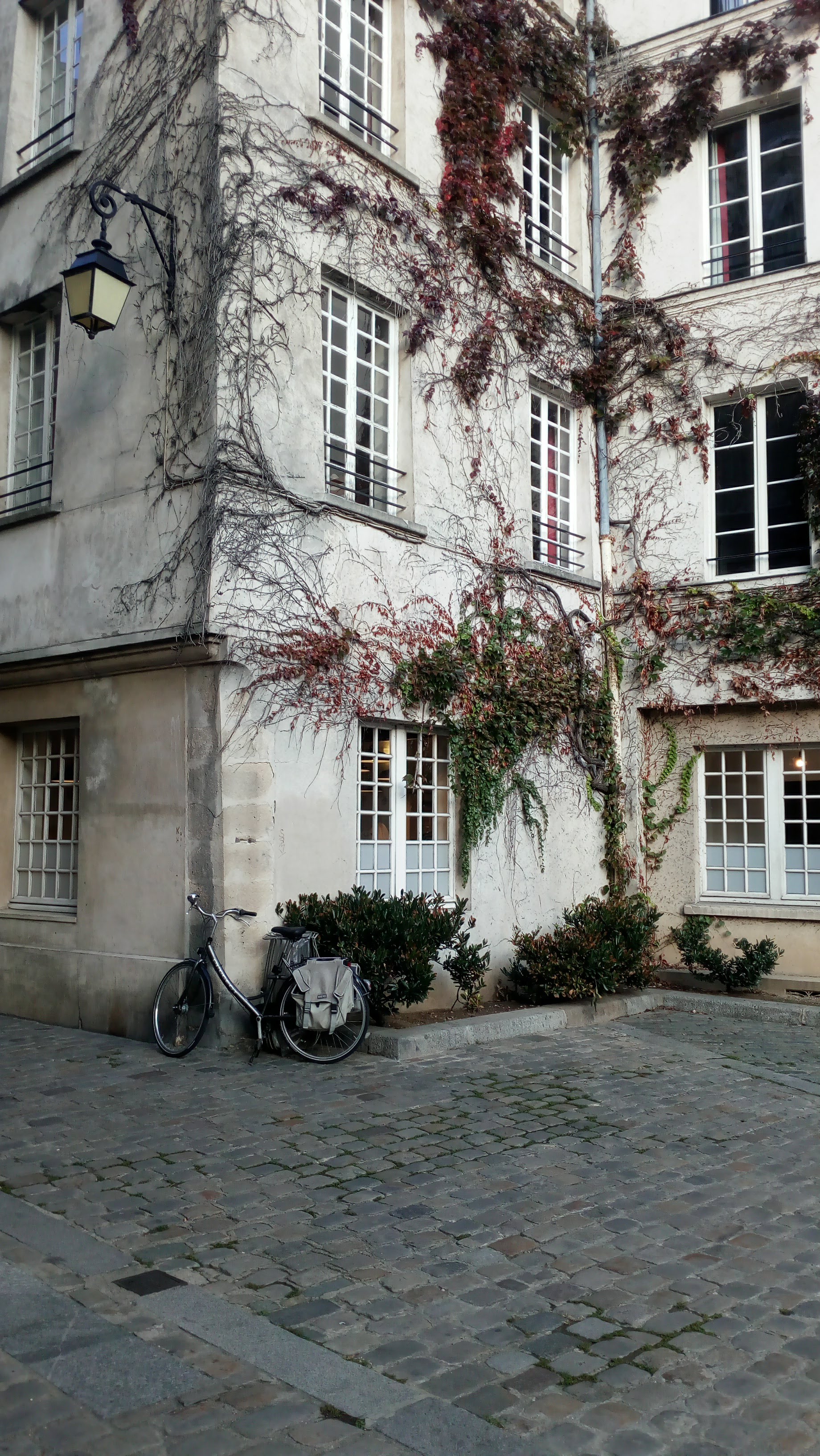 Photo n° 4 de l'avis de Emily.m fait le 17/10/2019 à 11:32
