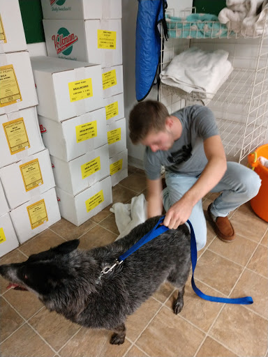 Pet Supply Store «Valley Springs Feed & Pet Supply», reviews and photos, 10 Main St, Valley Springs, CA 95252, USA