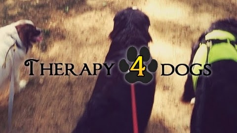 Therapy4Dogs