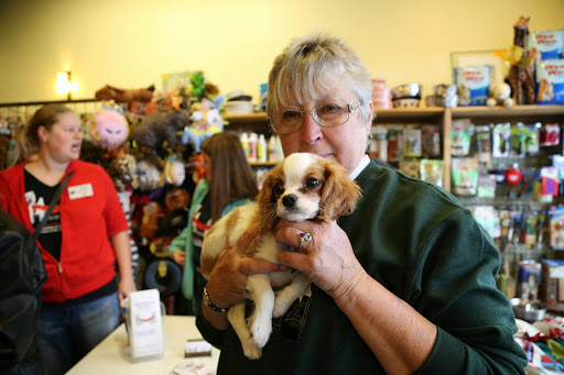 Pet Supply Store «Long Dog Fat Cat», reviews and photos, 16909 Burke St #126, Omaha, NE 68118, USA