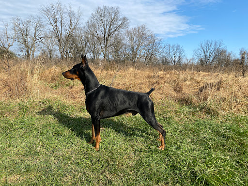 39 Carrs Tavern Rd, Clarksburg, NJ 08510, USA