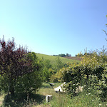 Photo n°1 de l'avis de Mmmarianne.F fait le 26/07/2019 à 11:47 sur le  Camping Podere Sei Poorte à Monteciccardo