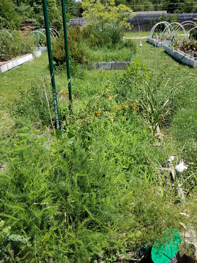 Community garden Grand Prairie